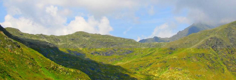 Wandern Sie durch sattgrüne Wiesen